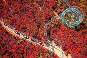 華途傳媒|參加文旅產業跨界共融交流分享會